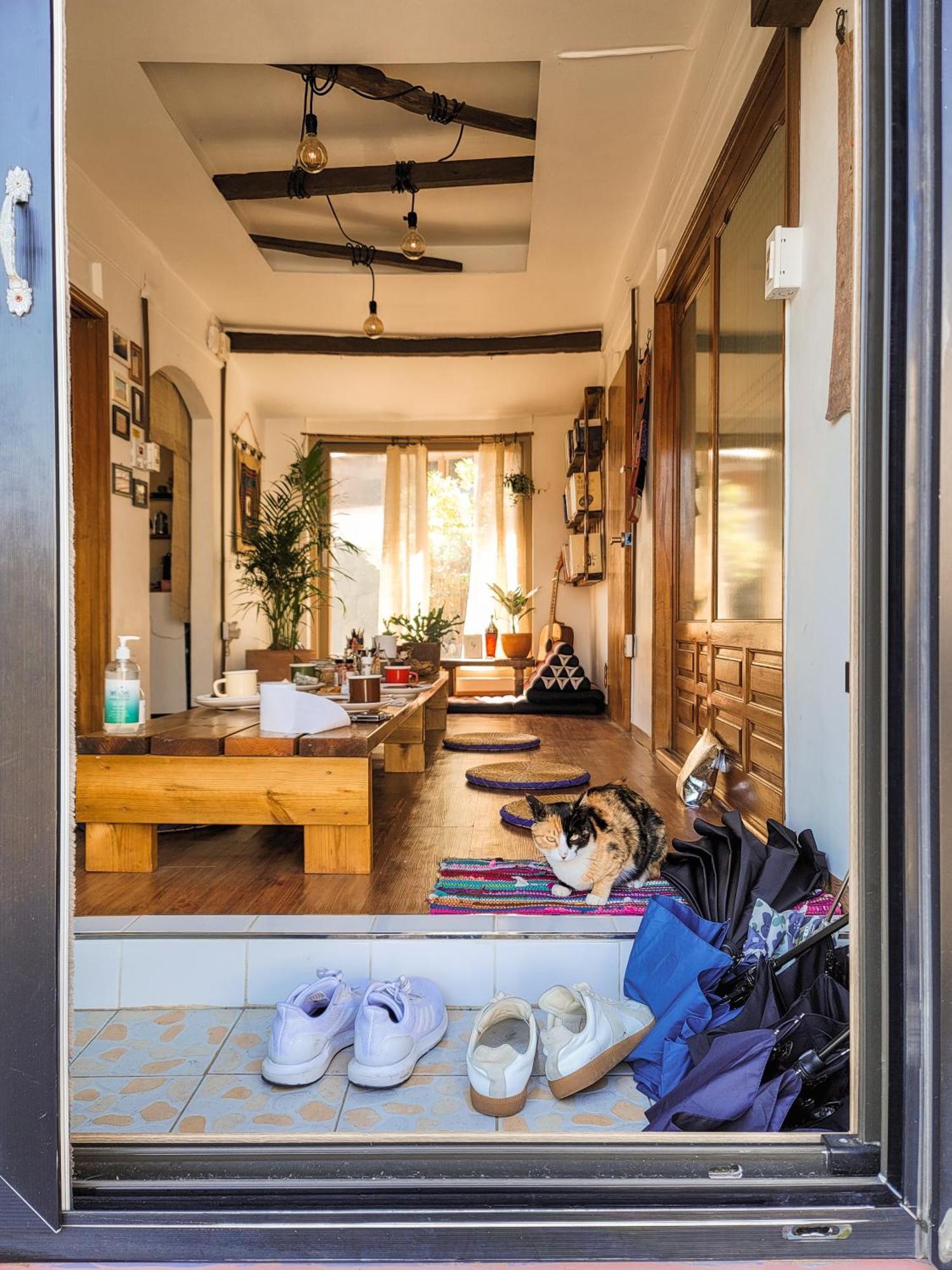 Shanti Shanti Guest House Jeju Luaran gambar
